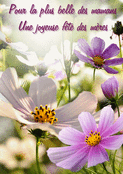 F&ecirc;te des m&egrave;res, &eacute;clat floral pour maman